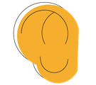 Illustration of an ear