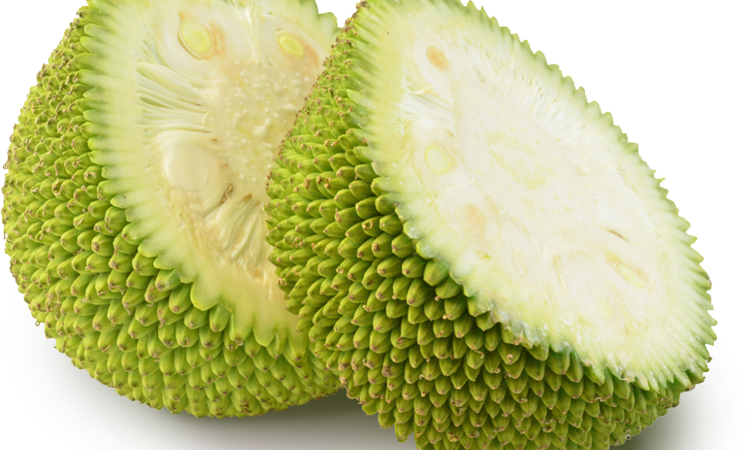 Jackfruit-e1529521722893.png