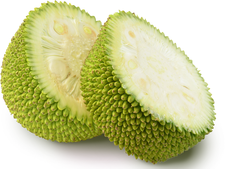 Jackfruit-e1529521722893.png