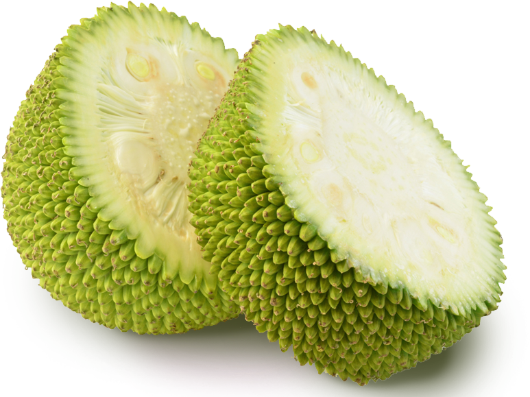 Jackfruit-e1529521722893.png (1)