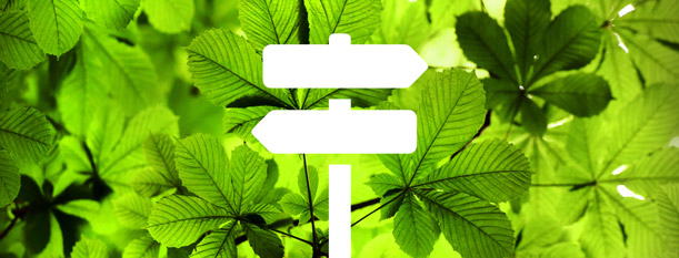 Outline of direction signs in front of a leaf backdrop