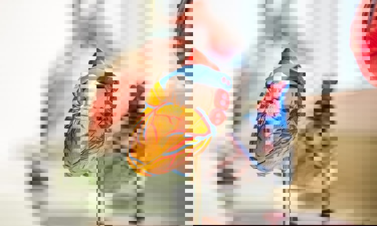 Jesse Orrico Us3aqvyop O Unsplash