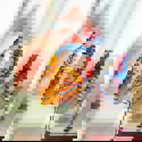 Jesse Orrico Us3aqvyop O Unsplash