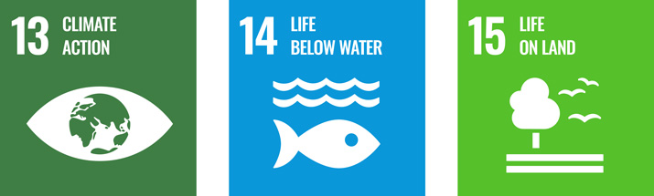 UN Sustainable Development Goals logos 13 (Climate action) 14 (Life below water) and 15 (Life on land)