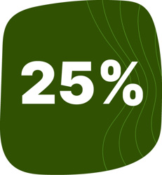 25%