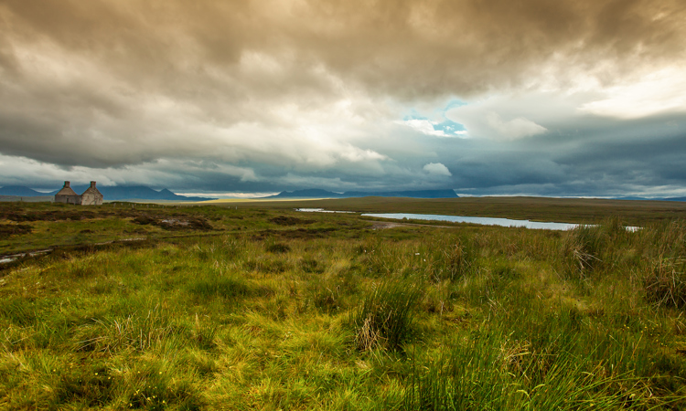 Scottish Peatlands